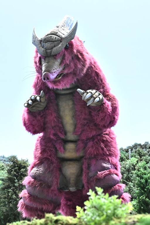 Gedrago
