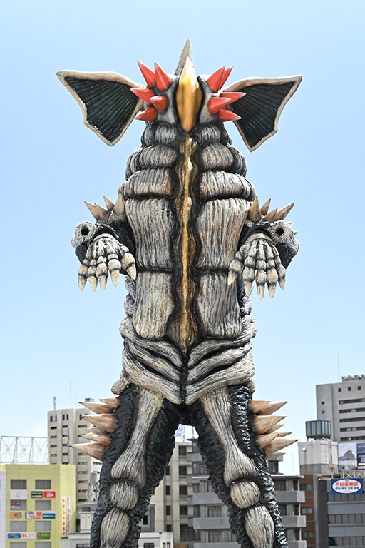 Bodyroba